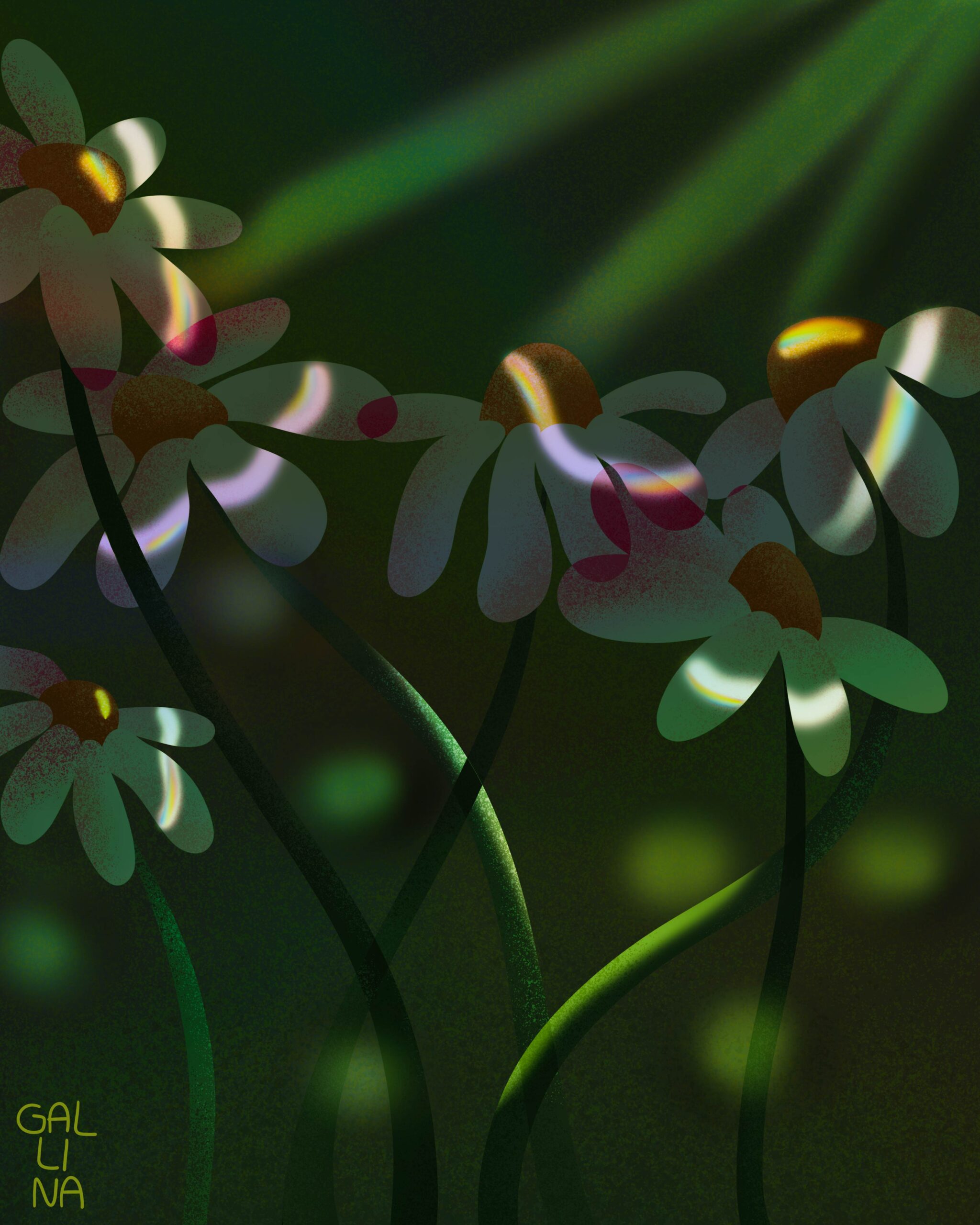 fiori all'ombra